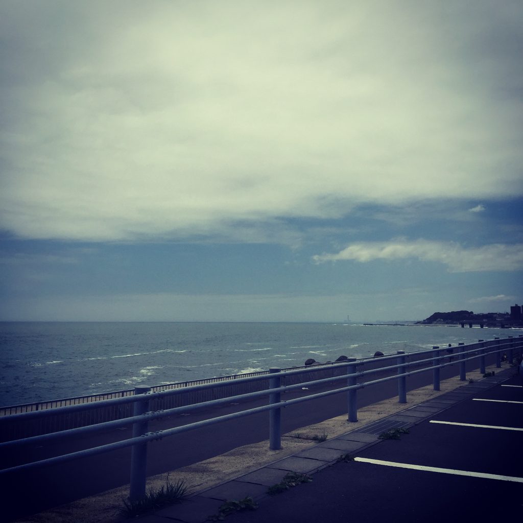 海